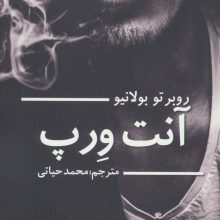 آنت ورپ (ادبیات جهان)