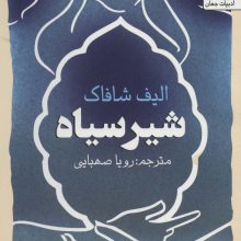 شیر سیاه