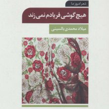 هیچ گوشی فریادم نمی زند (شعر امروز ما)
