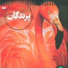 پرندگان (شاهد عینی)،(گلاسه)