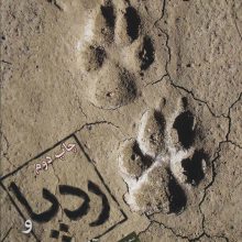 ردپا و آثار جانوران (گلاسه)