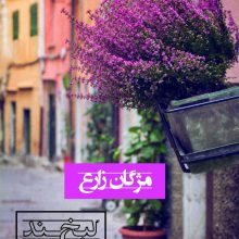 لبخند نیمه شب (رمان1260)