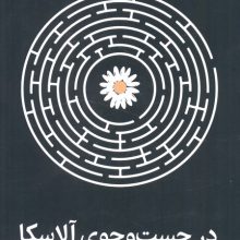 در جست و جوی آلاسکا