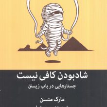 شاد بودن کافی نیست (جستارهایی در باب زیستن)