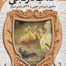 افسانه های شیرین دنیا 5 (دختری با پیراهن چوبی و 32 افسانه ی دیگر:کتاب نارنجی)